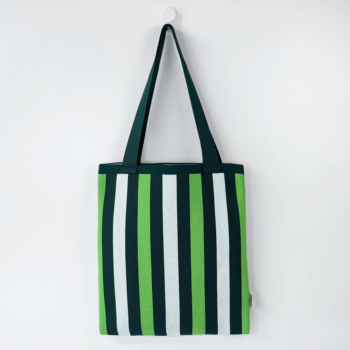 Chromatic Stripe Knitted Bag