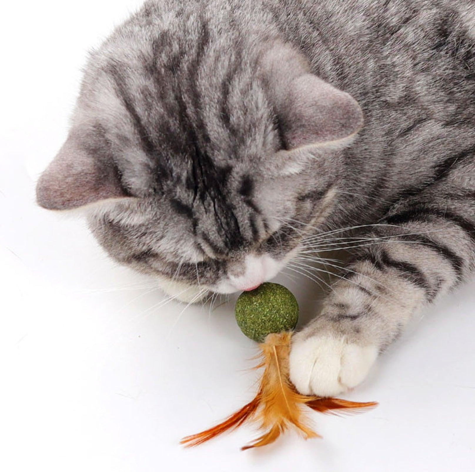 Catnip Cat Toy with Feathers
