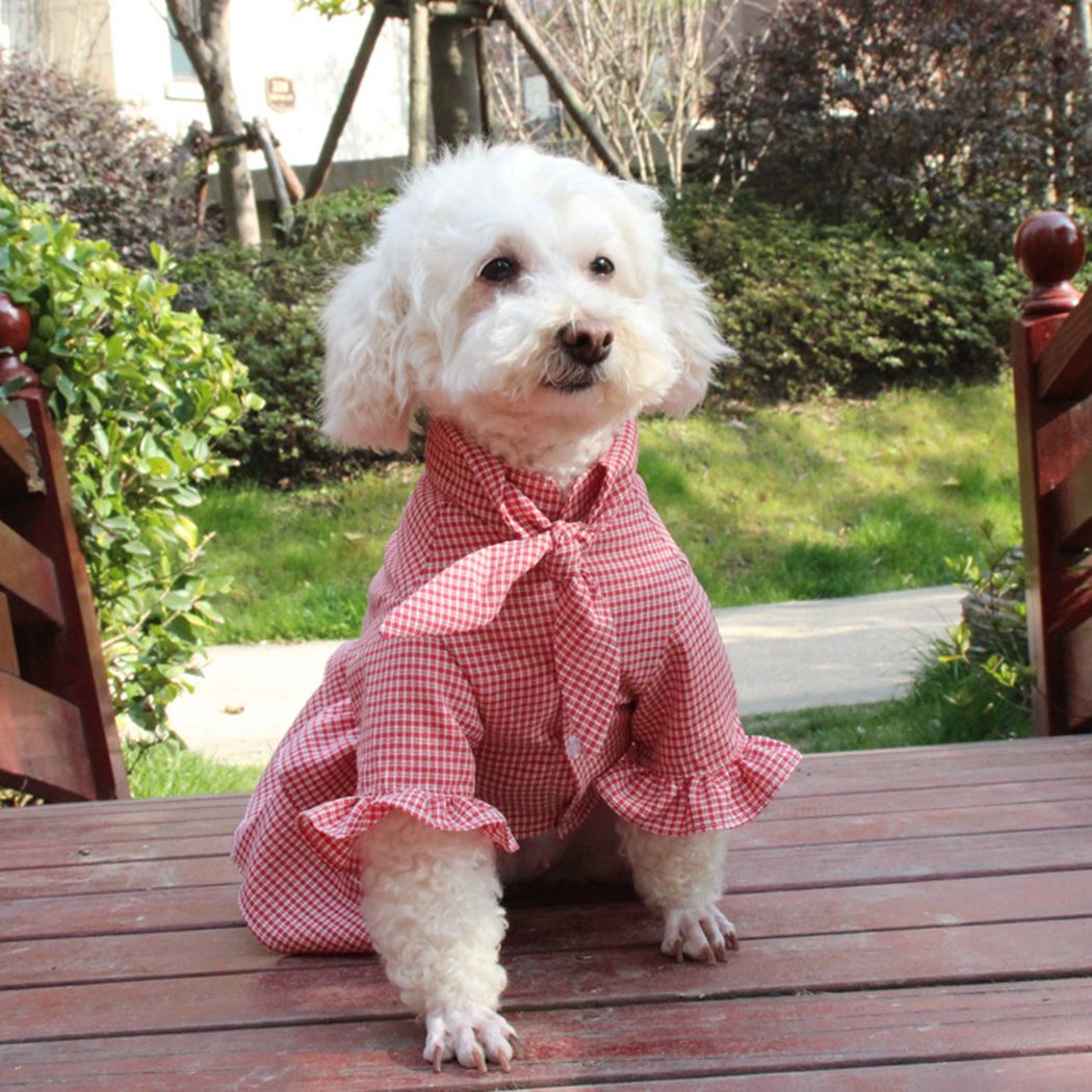 Onesie Dress For Dogs