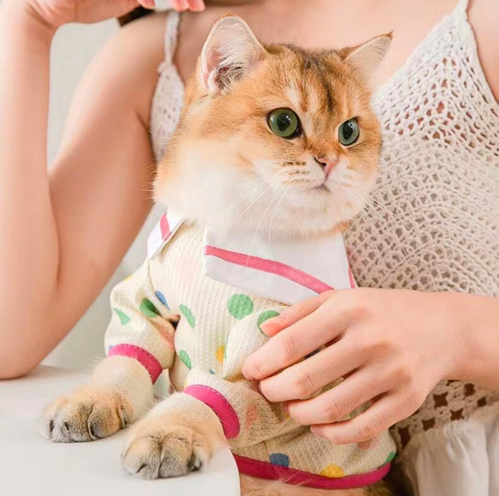 Charming Naval Collar Pet T-shirt with Colourful Dots