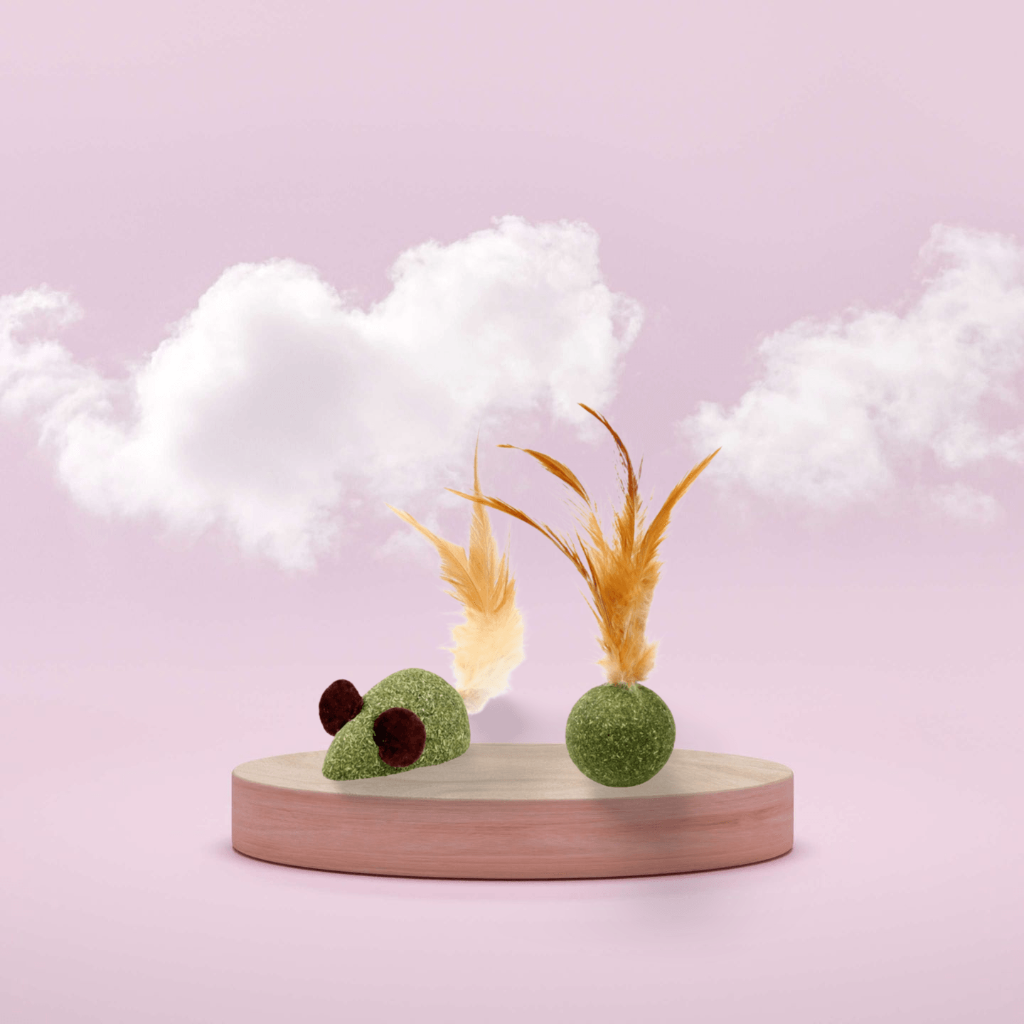 Catnip Cat Toy with Feathers