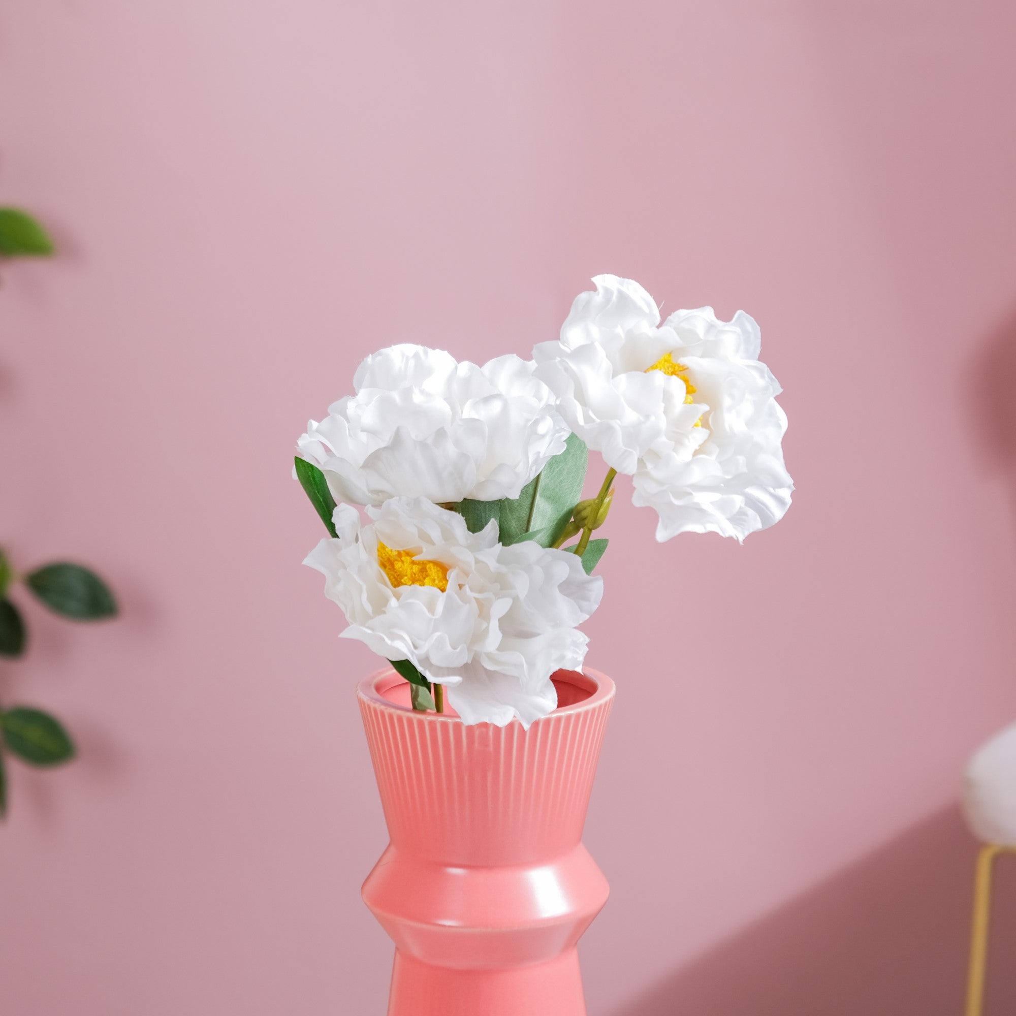 Colorful Peony Stems