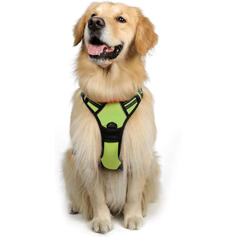 Dog No-Pull Pet Harness With 2 Leash Clips