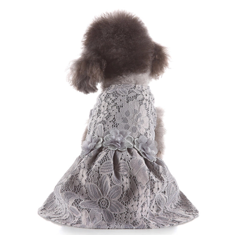 Pet Supplies New Pet Clothes Rainbow Skirt Spring And Summer Pet Clothing Leopard Print