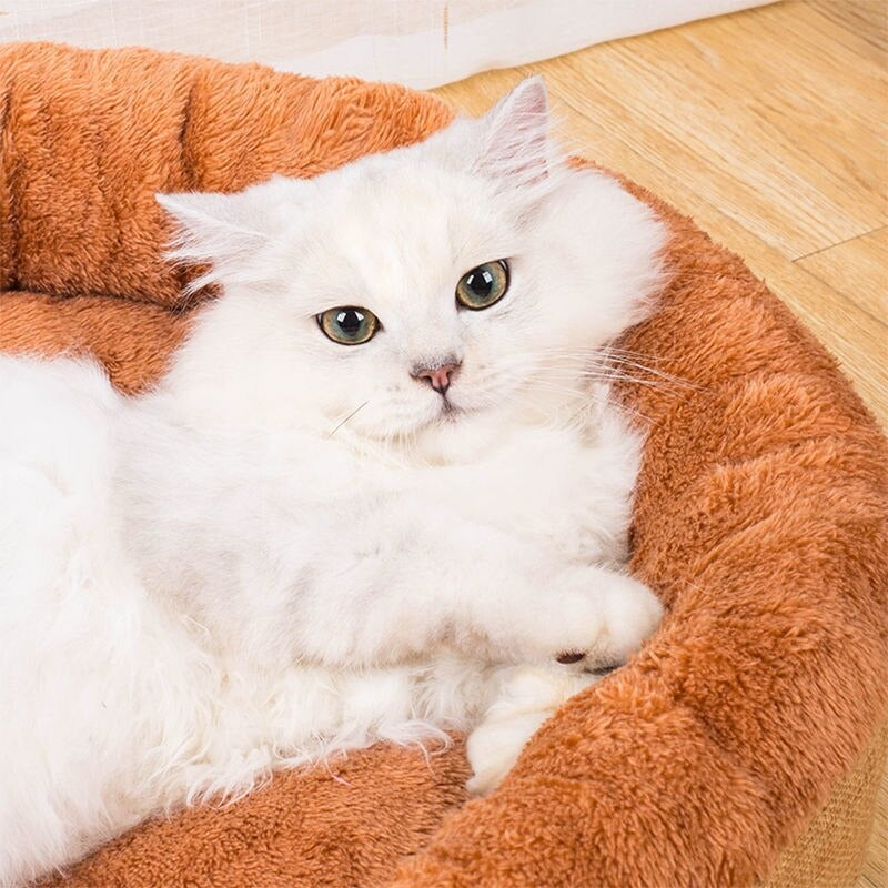 Home Sofa For Cats Mat