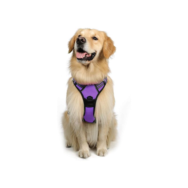 Dog No-Pull Pet Harness With 2 Leash Clips