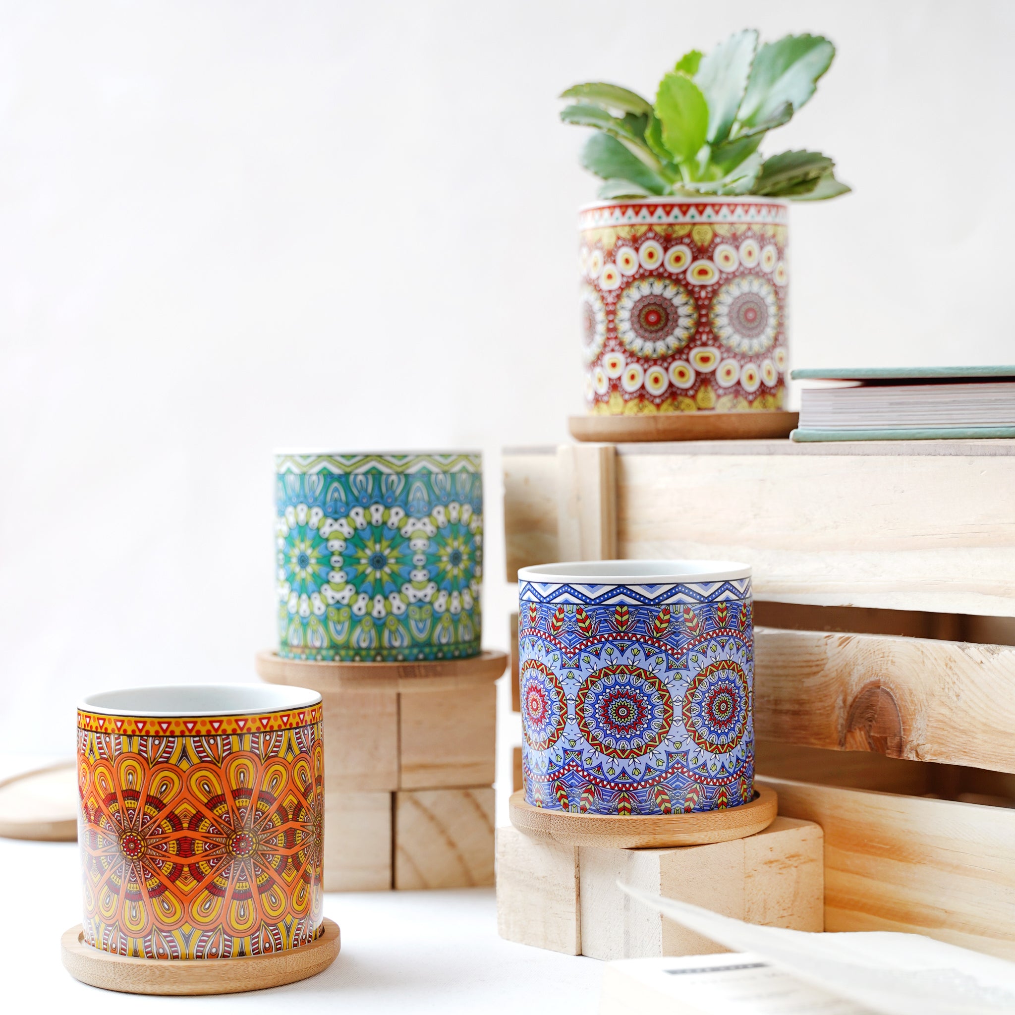 House Plant Pots