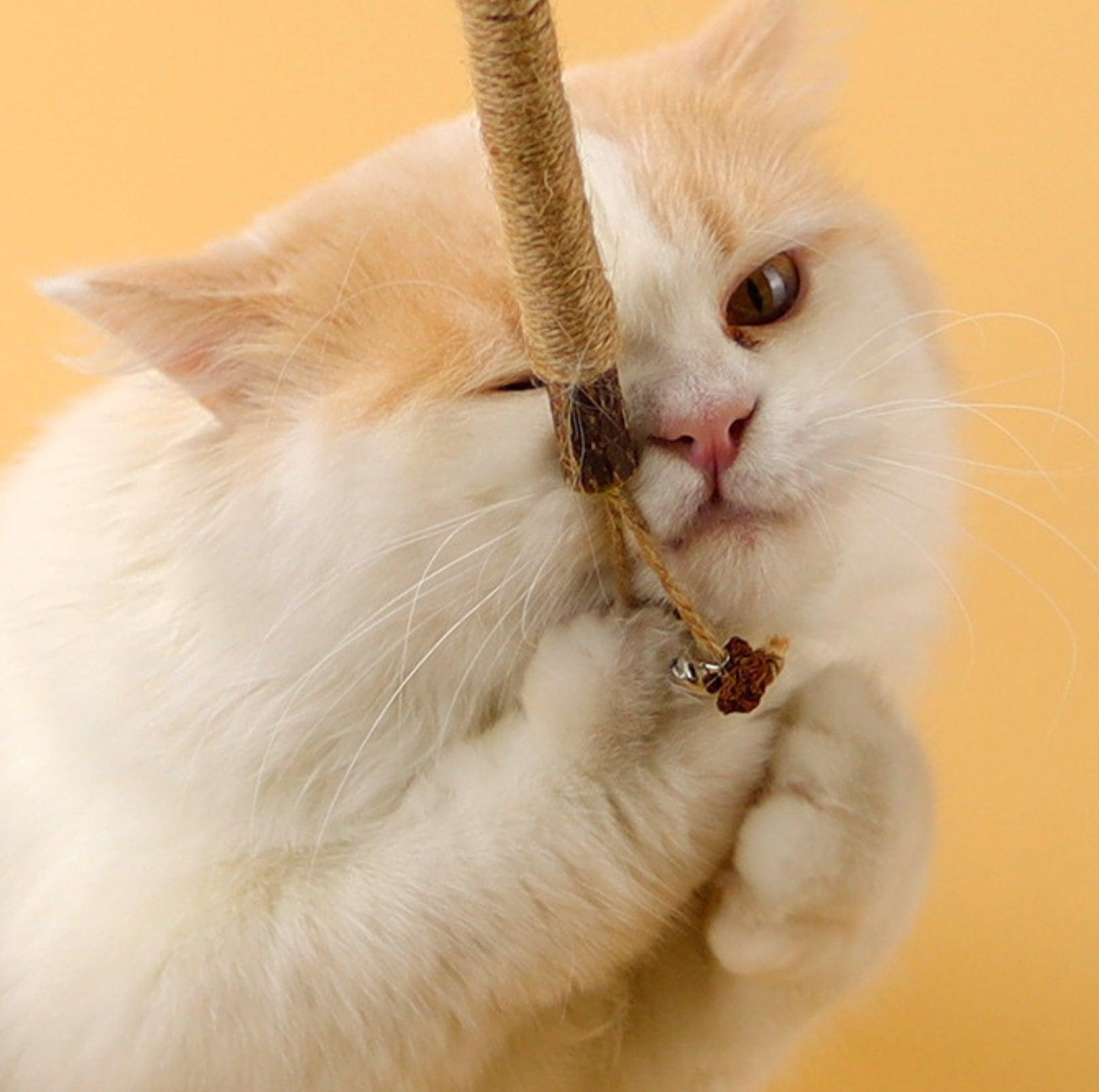 Feathered Catnip Stick Cat Toy