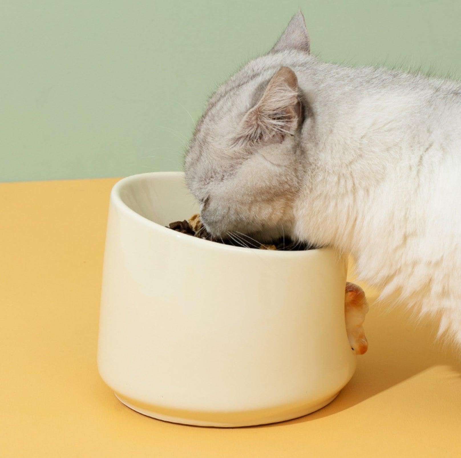 Adorable 3D Ceramic Cat Bowls Small Dog Bowls