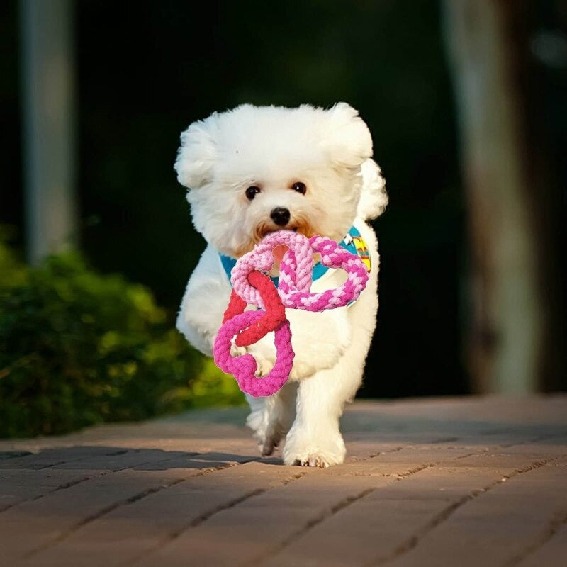 Dog Rope Toy
