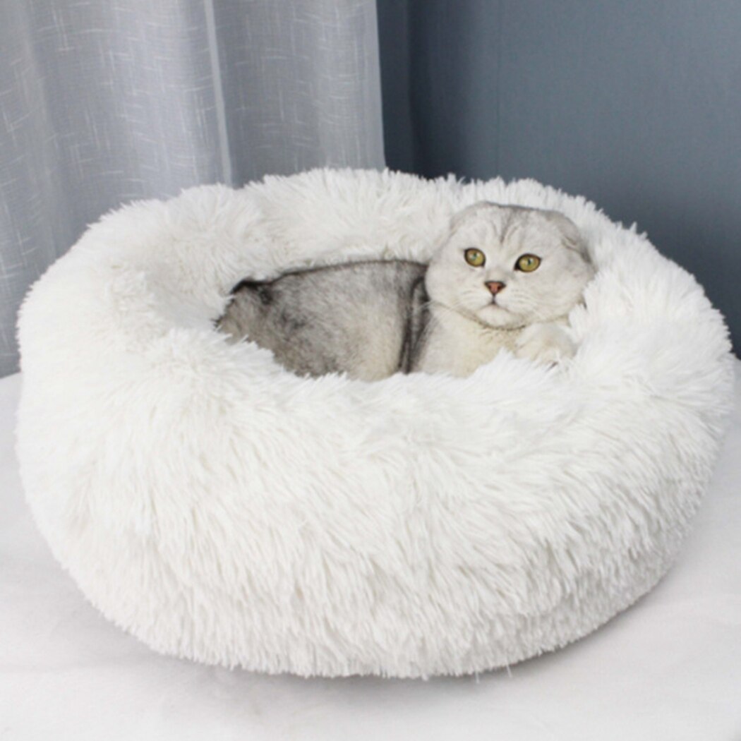 Plush Beds For Cats