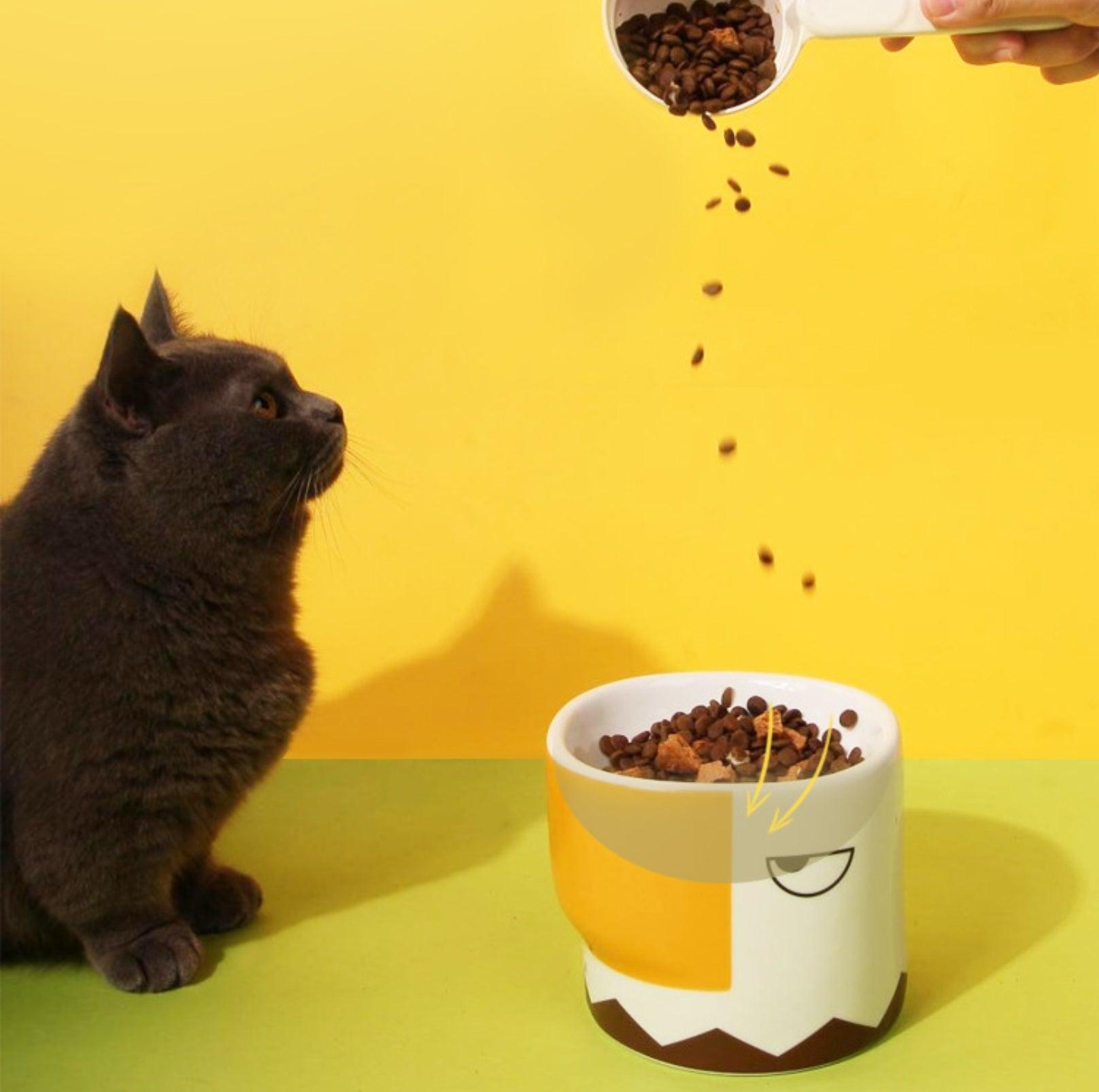 Ceramic Eagle Mug & Pet Bowl Set for You and Your Furry Friend