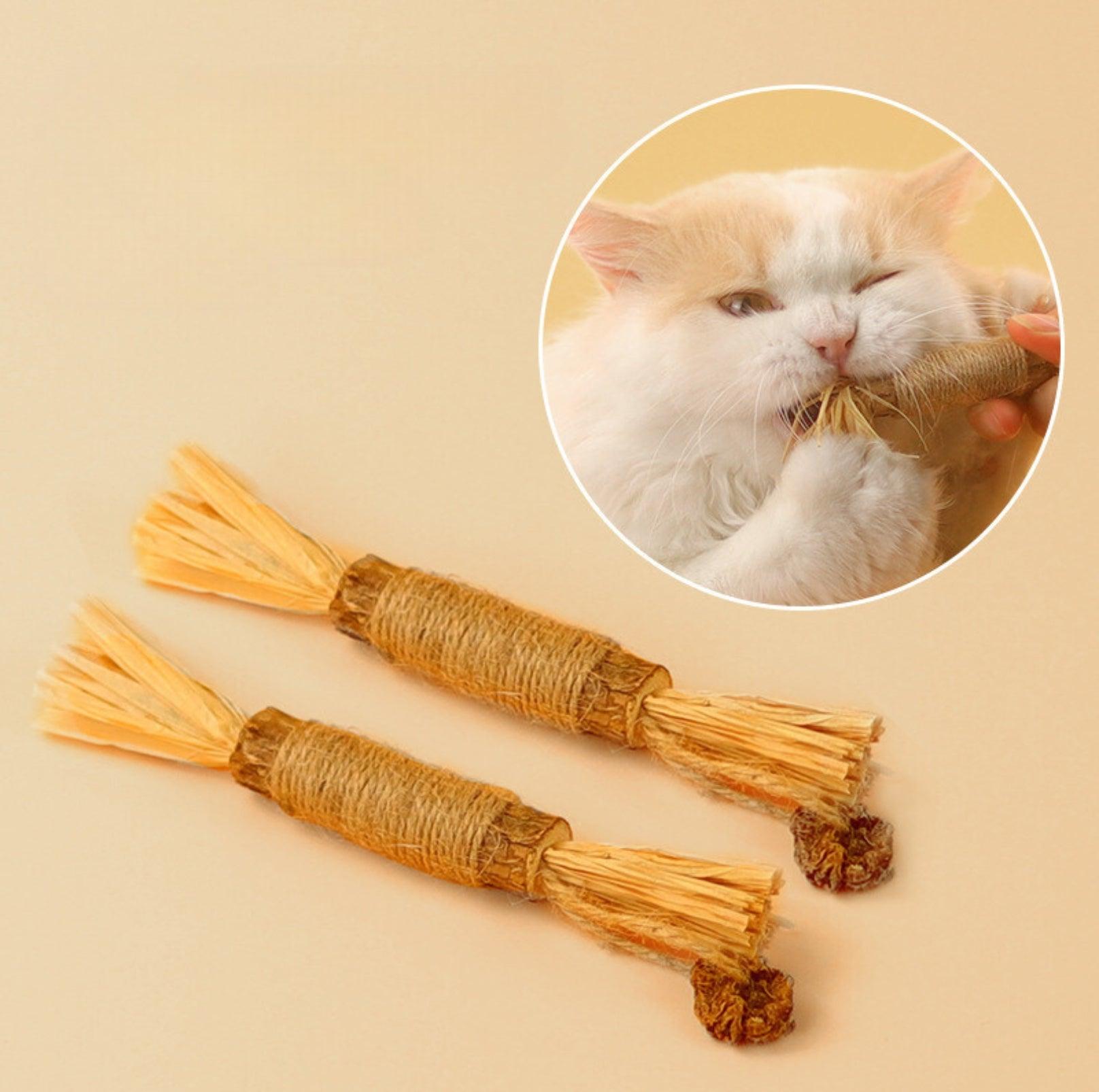 Feathered Catnip Stick Cat Toy