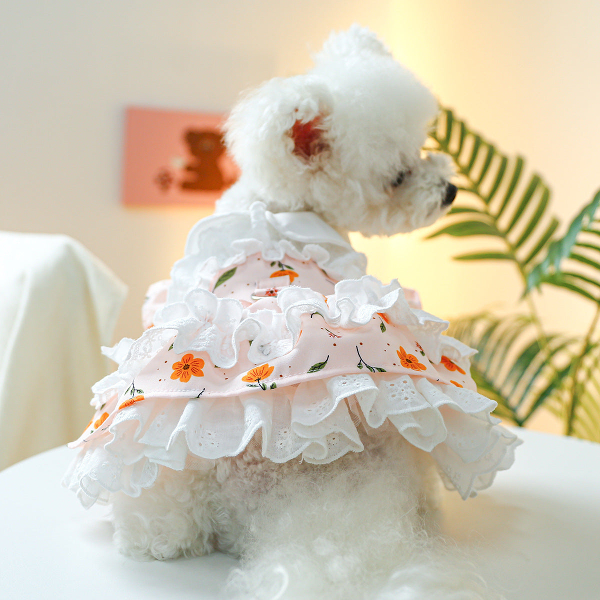 Flower Lace Decor Dog Cat Dress Harness