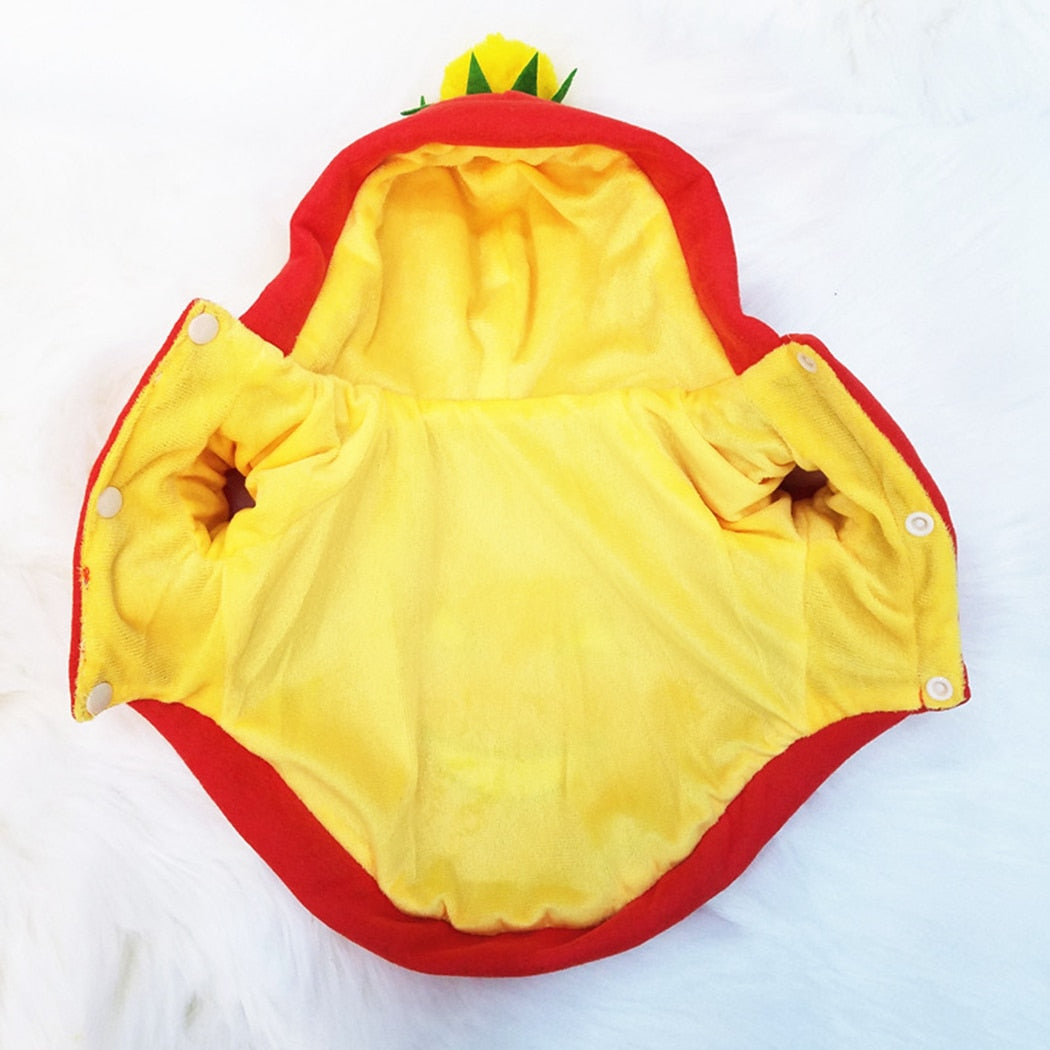 Halloween Hoodies For Dogs
