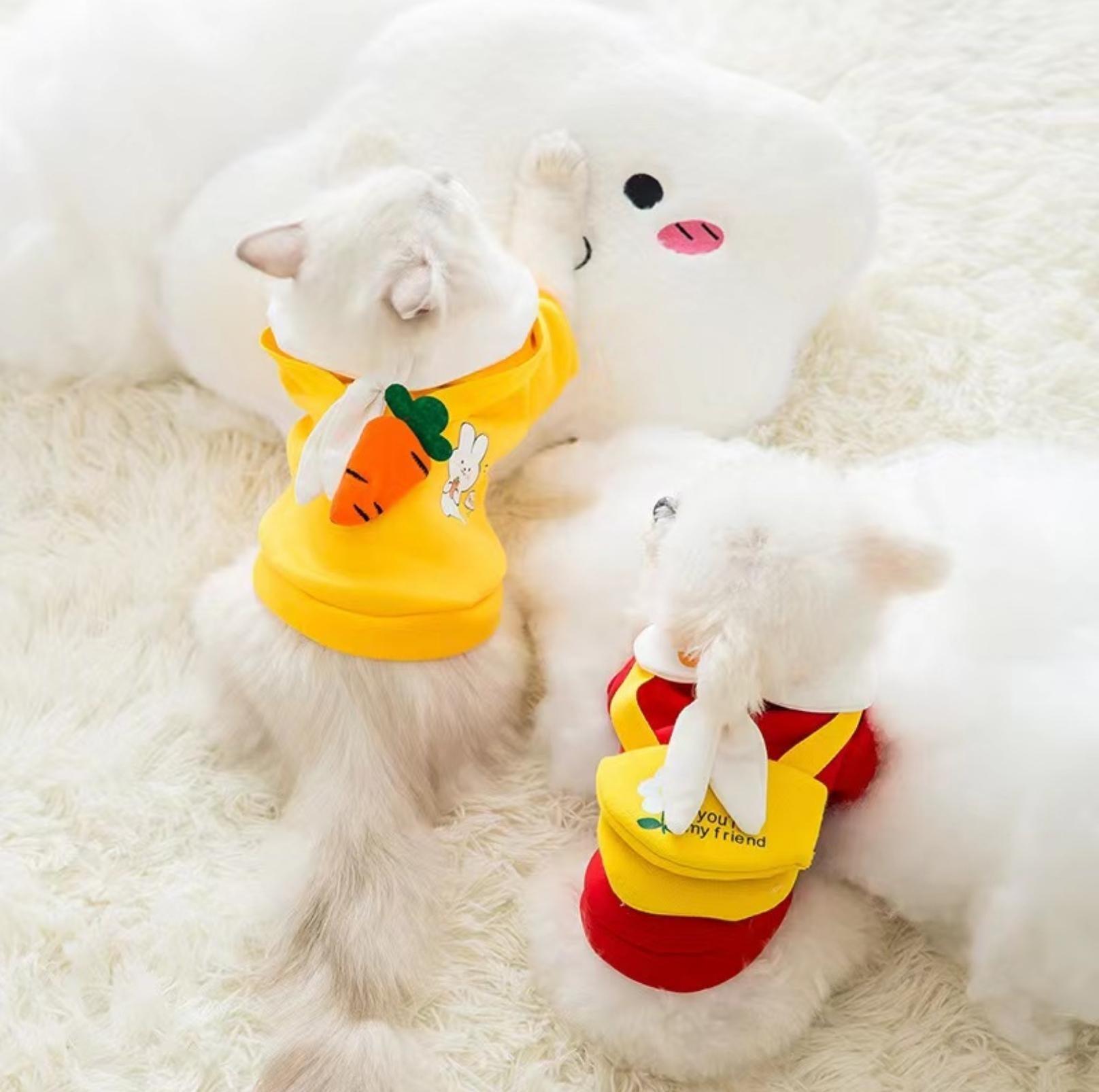 Cute Cartoon Pet Sweater with Crossbody Bag