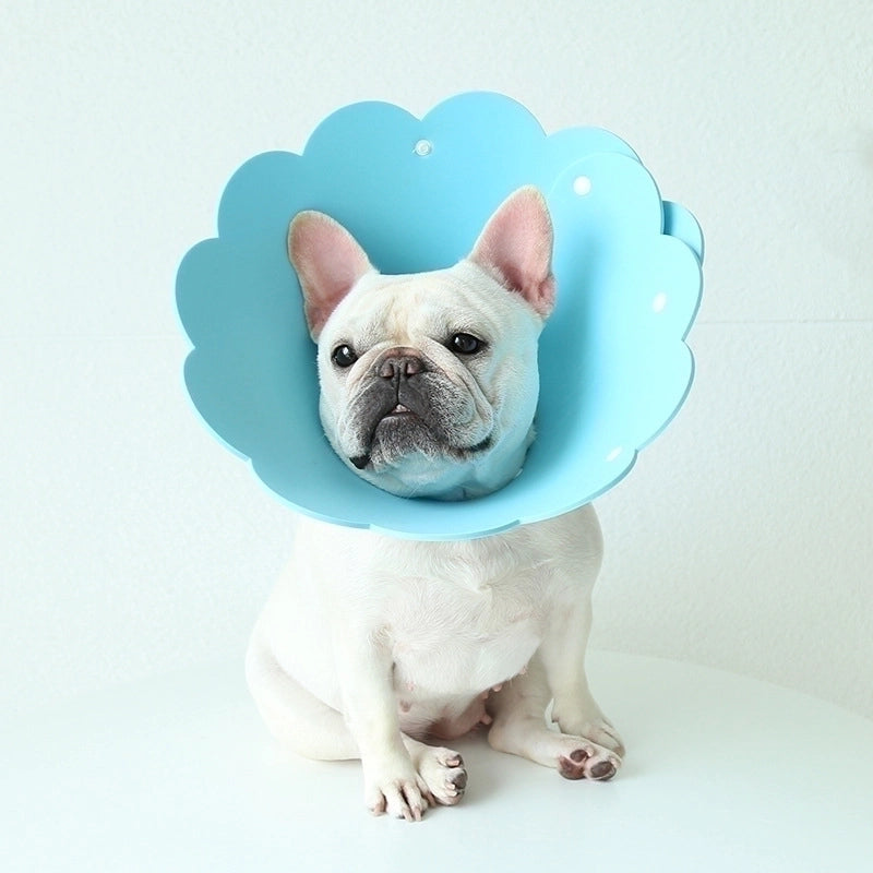 Minimalist Eva Solid Color Pet Collar