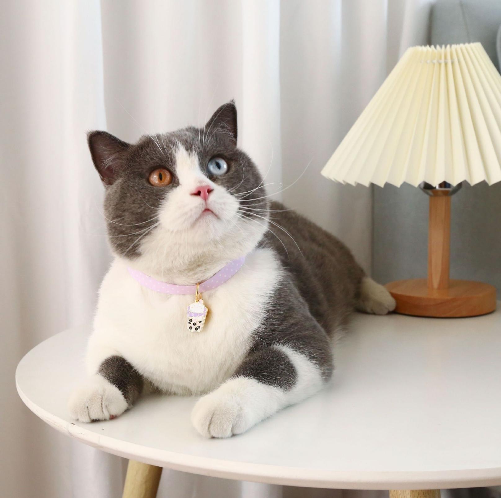 Stylish Cartoon Pendant Adjustable Pet Collar For Cats and Dogs