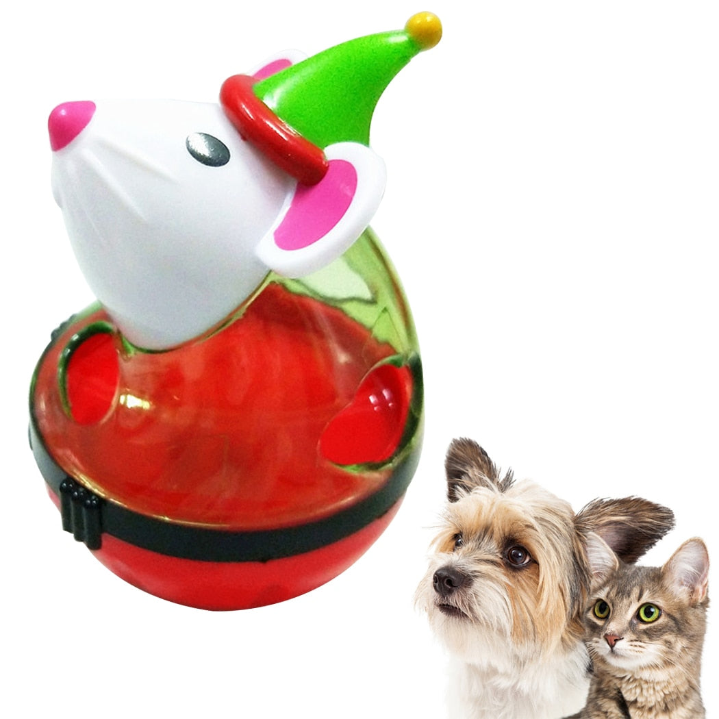 Treat Ball Dispenser