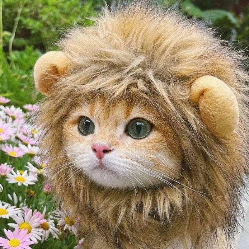 Online Celebrity Pet Cat Dog Lion Wig Headgear Rabbit Ears Funny Headdress Halloween Dress Up Transformation Hat