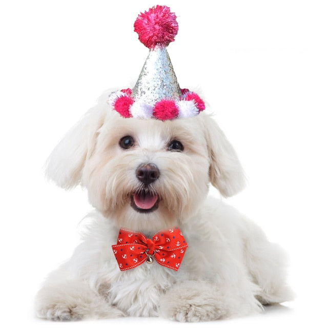 Birthday Pom Pom Cone for Dogs