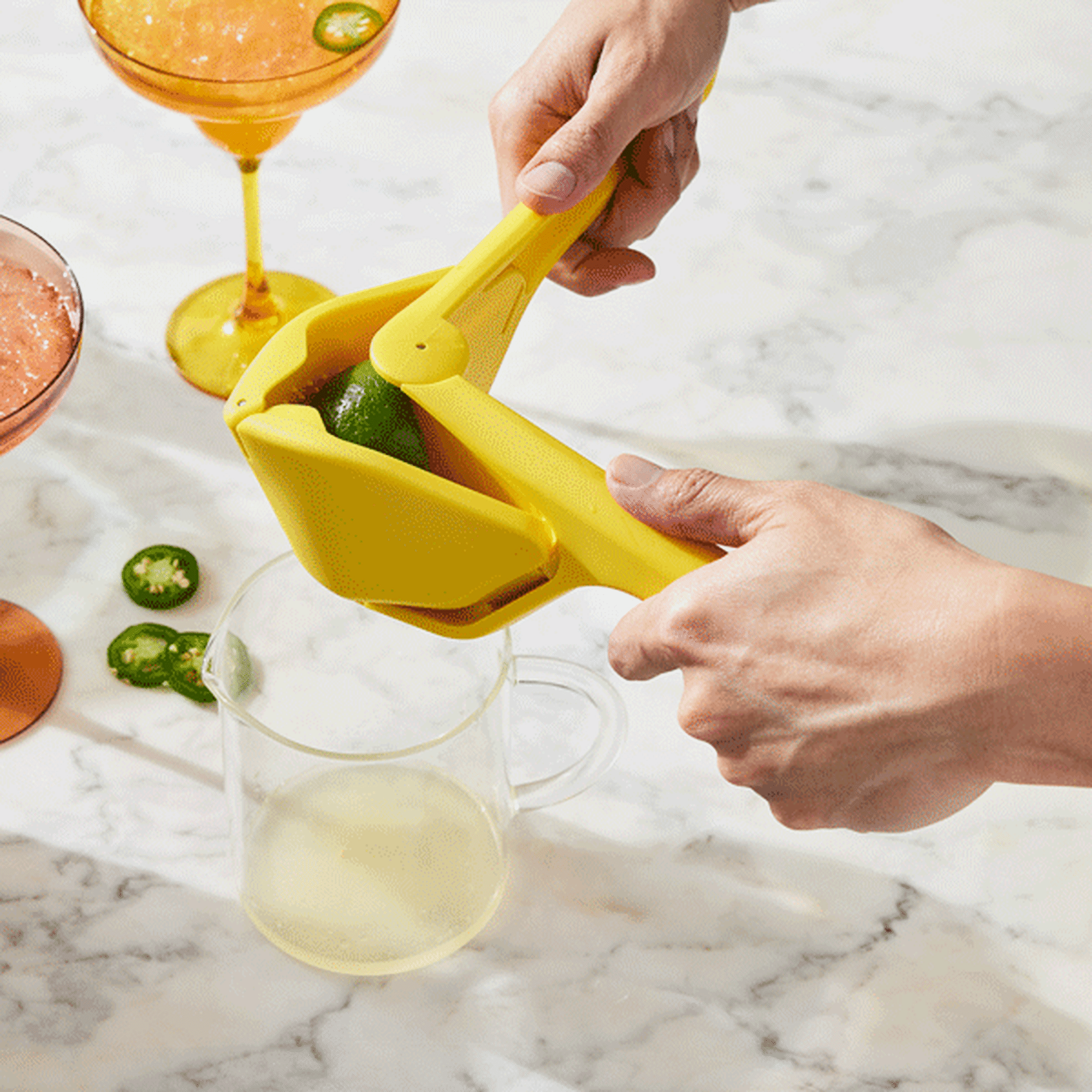 Citrus Juicers, Set of 2