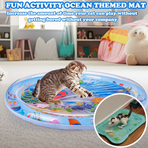 🔥😻Pet Water Sensory Mat🎉