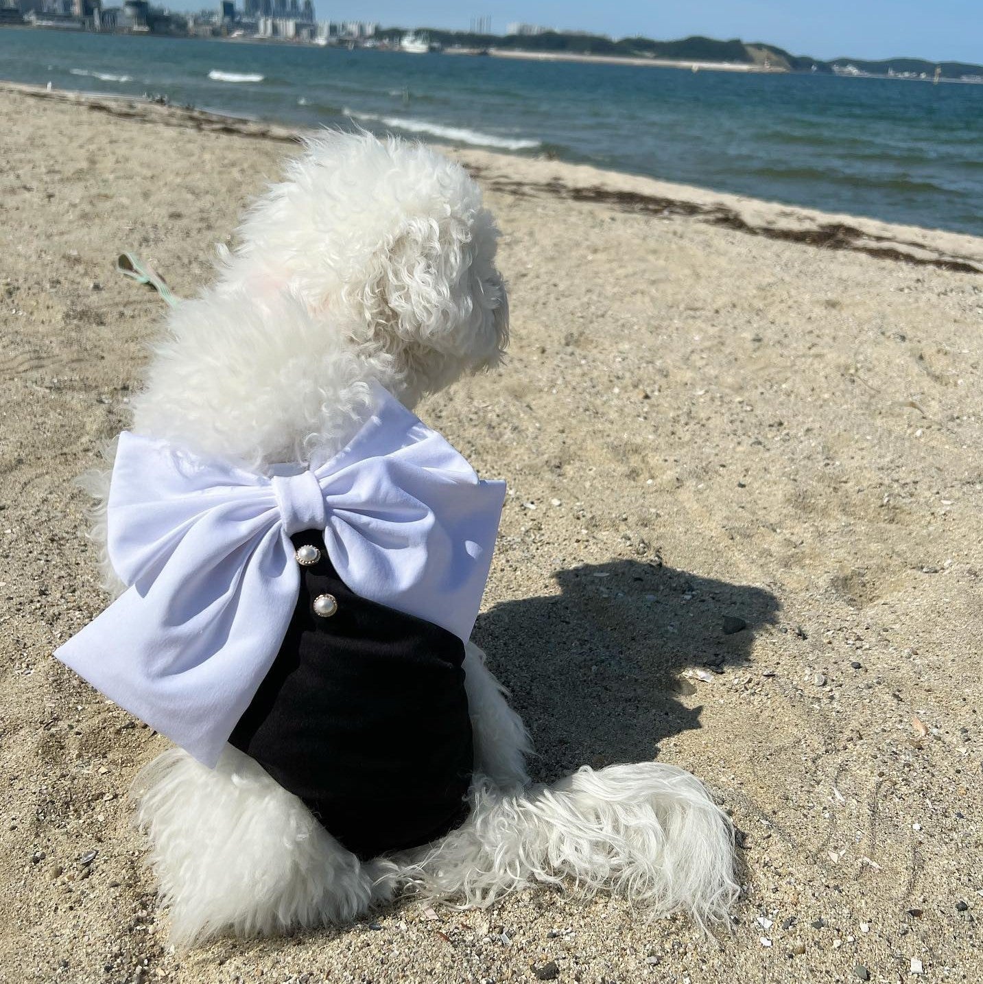 Large Bow Dog Cat Swimsuit