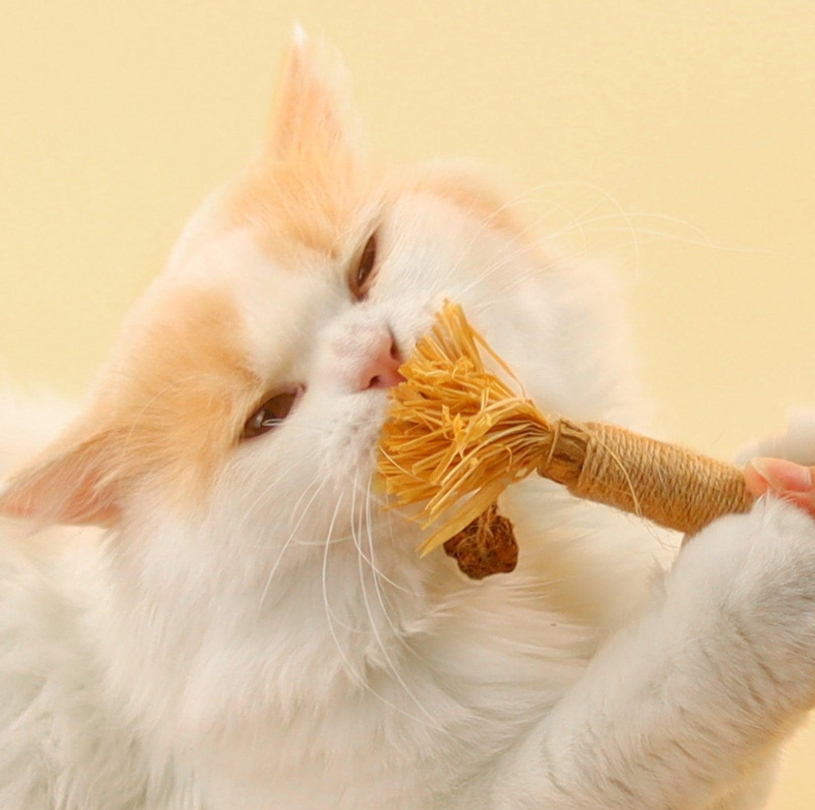 Feathered Catnip Stick Cat Toy