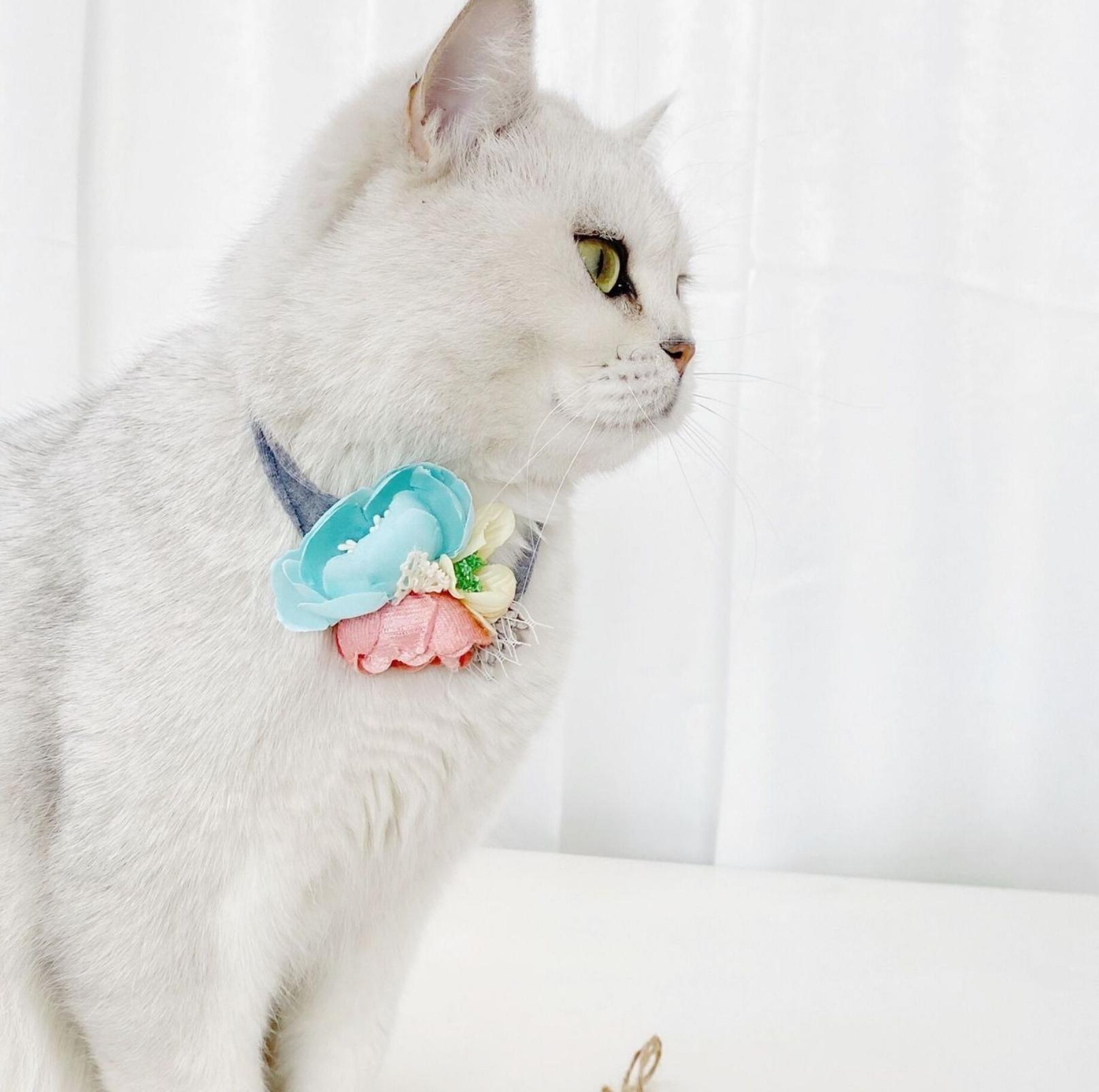 Floral Pet Collar Perfect For Celebrating Wedding And Other Events