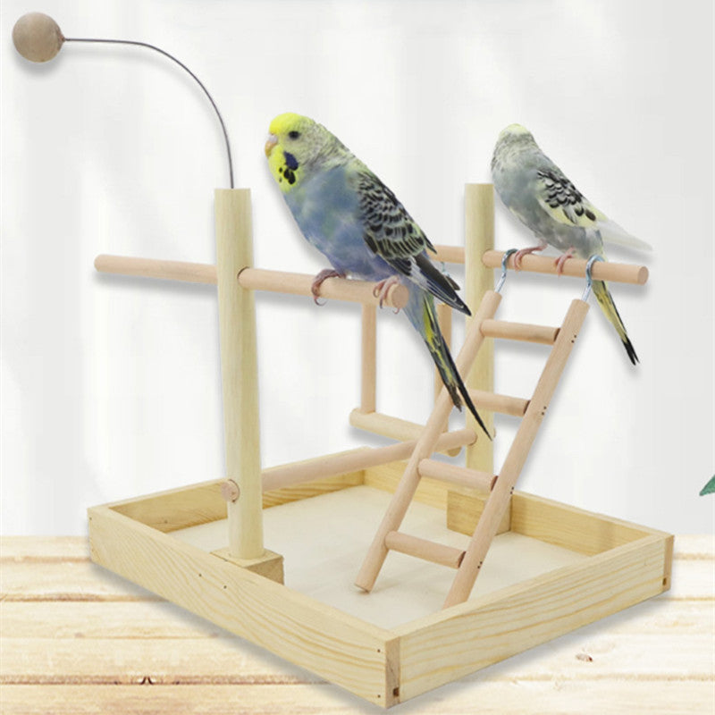 Interactive Ladder Toys For Bird Training