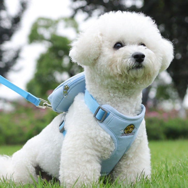 Printed Bag Breathable Dog Harness&Leash