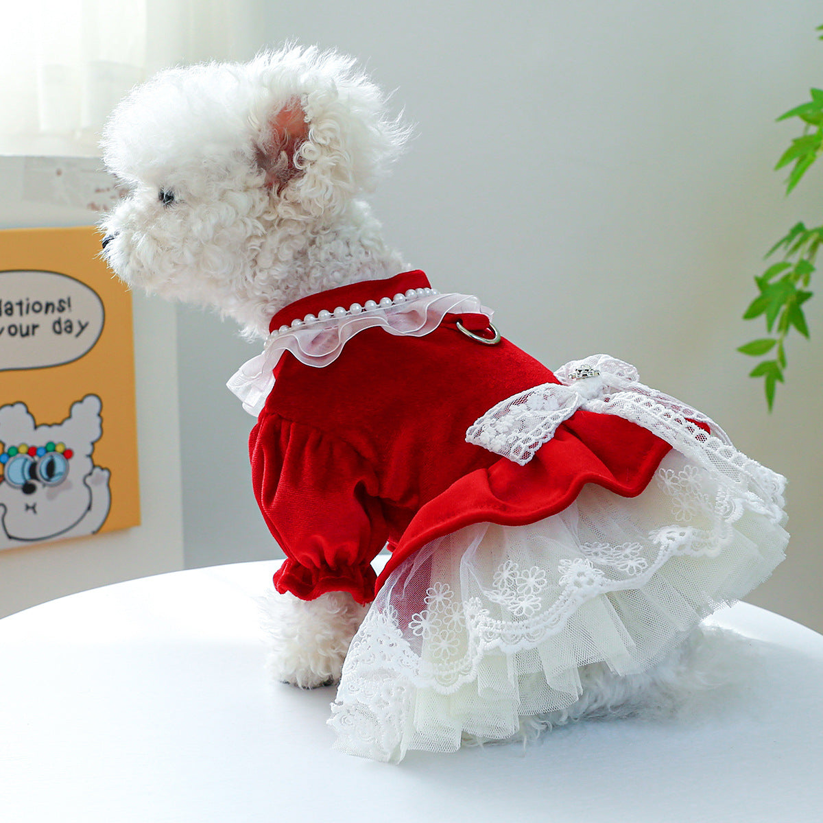 Velvet Lace Bowknot Dog Cat Dress