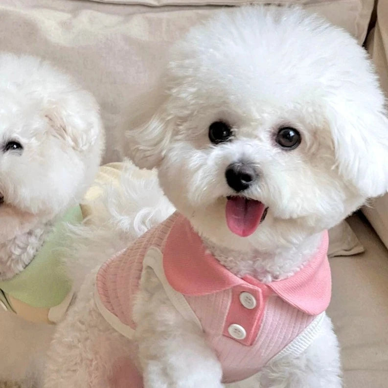 Breathable Contrast Color Collar Dog Cat Vest