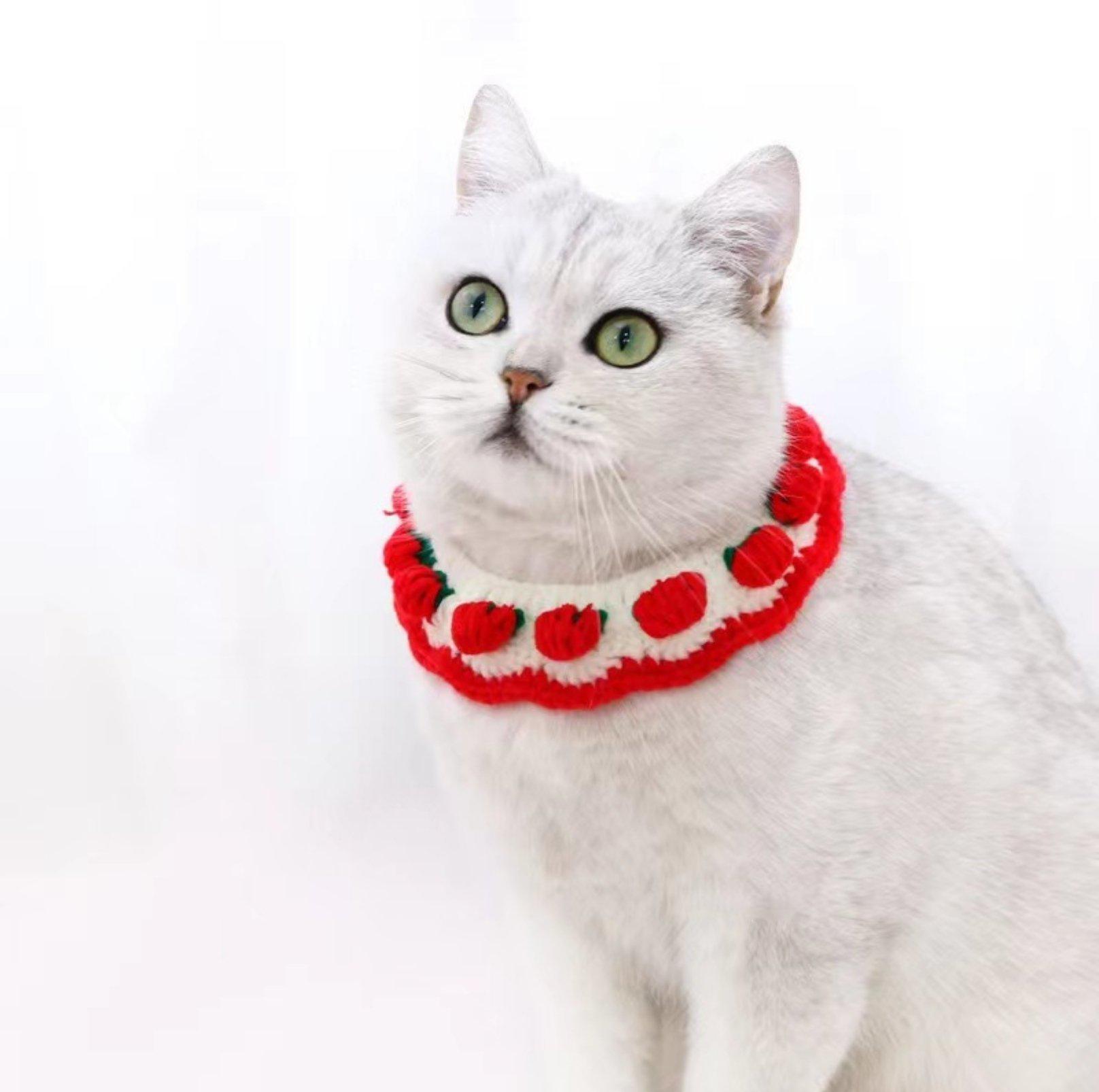 Knitted Cute Strawberry Pet Collar