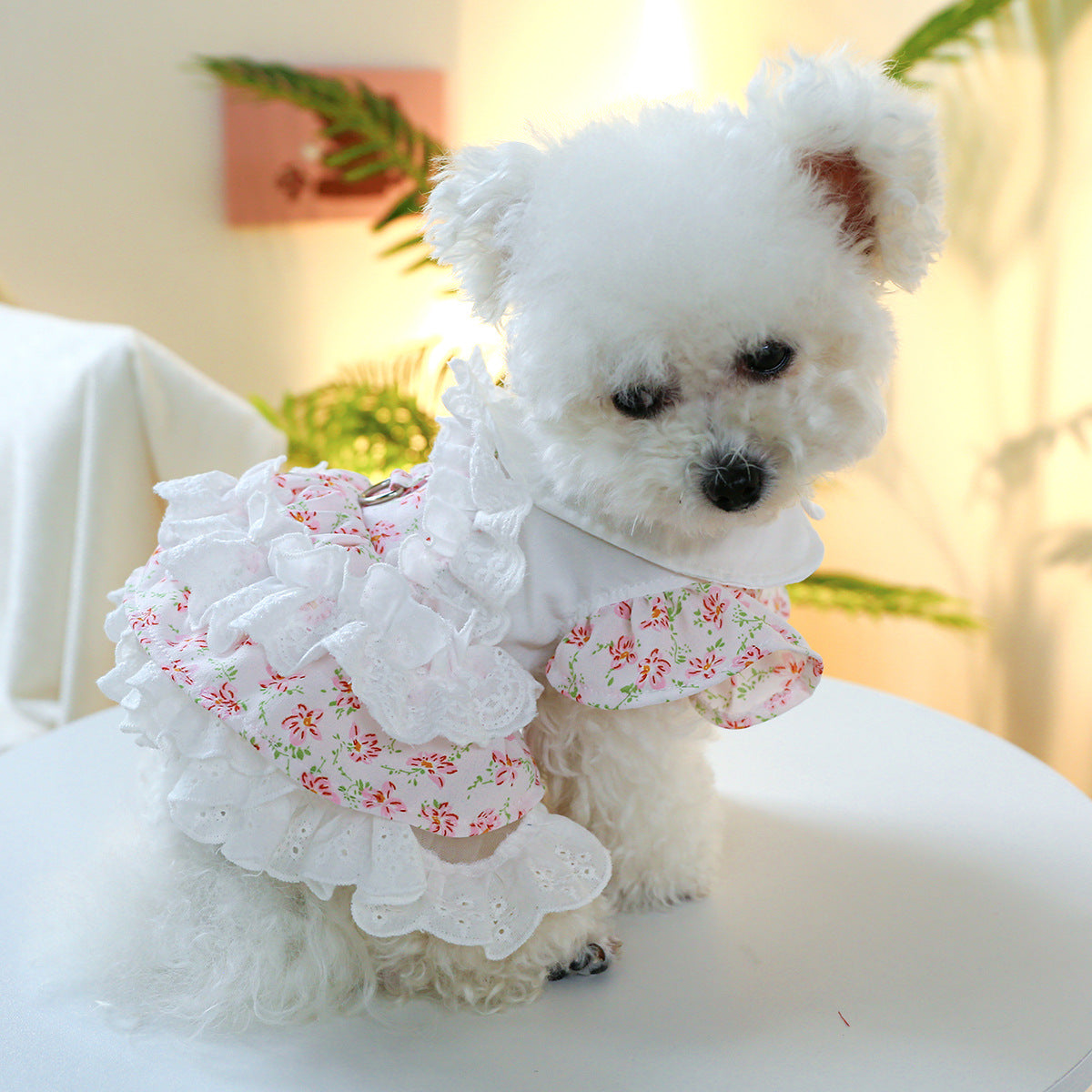 Flower Lace Decor Dog Cat Dress Harness