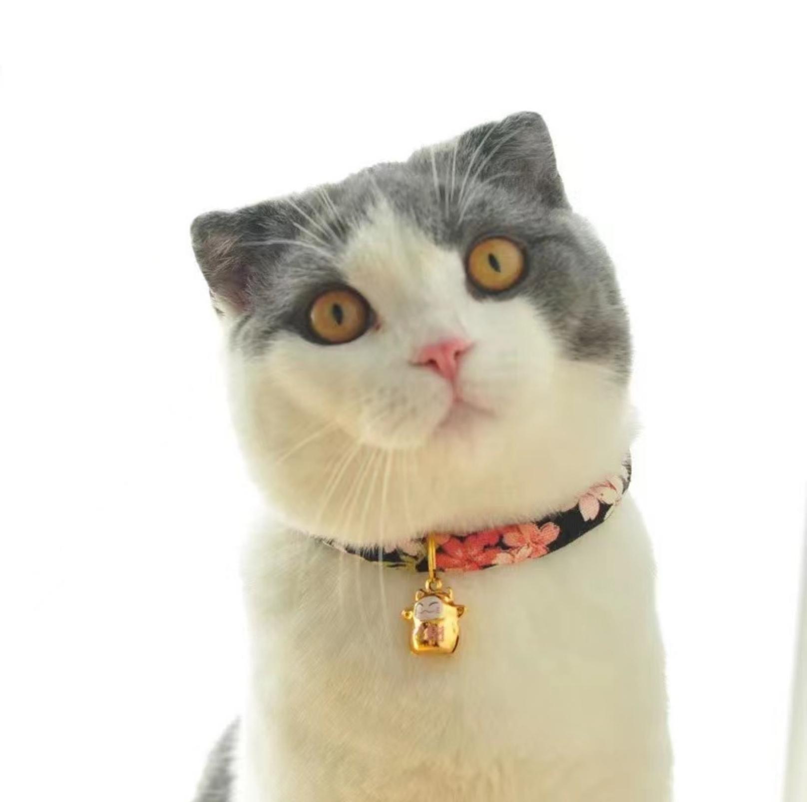 Waves And Flowers Pet Collar