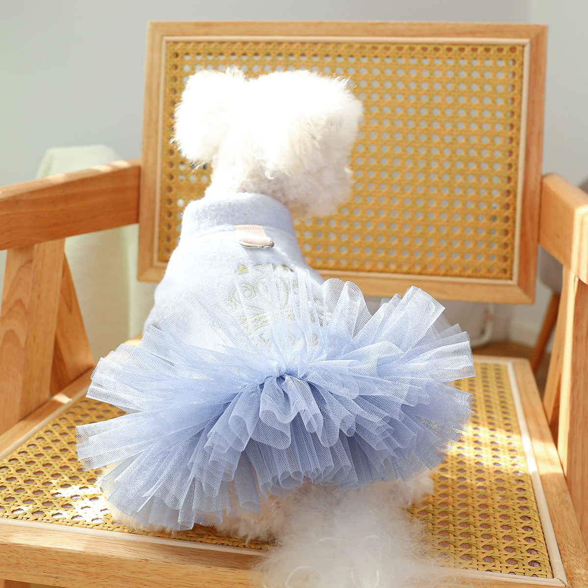 Crown Printed Warm Dog Lace Dress