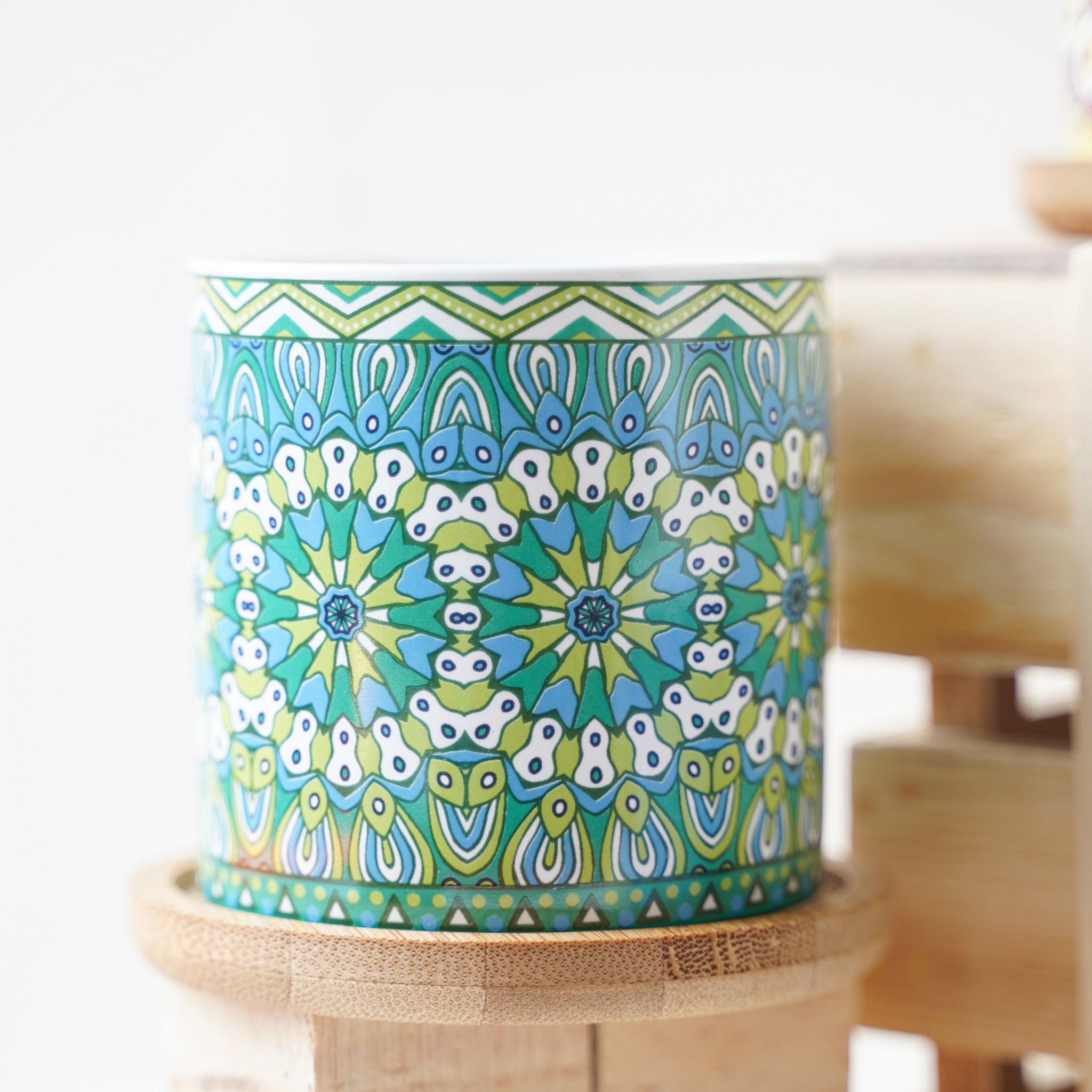 House Plant Pots