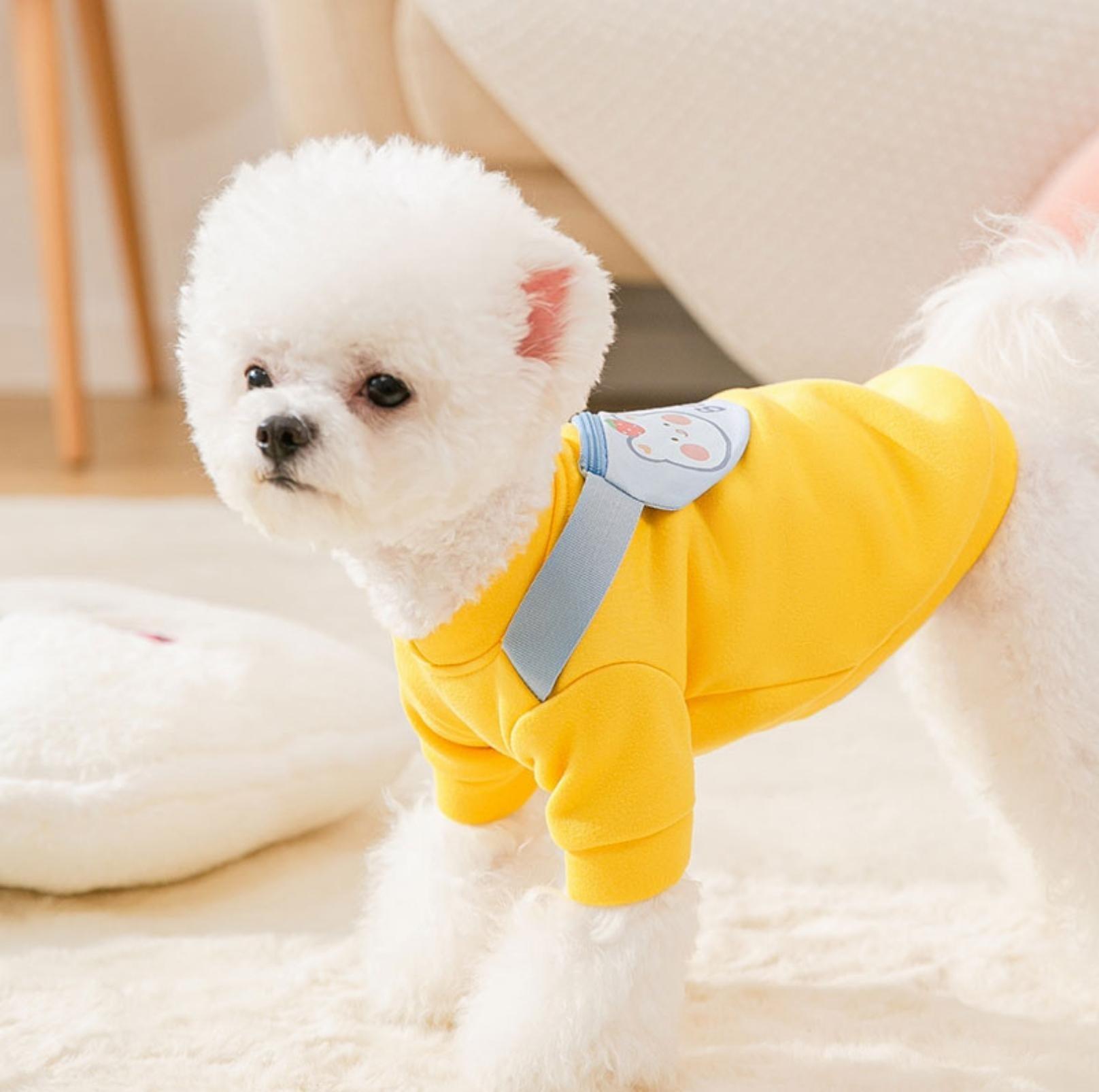 Warm and Fashionable Pet Sweater with Crossbody Bag