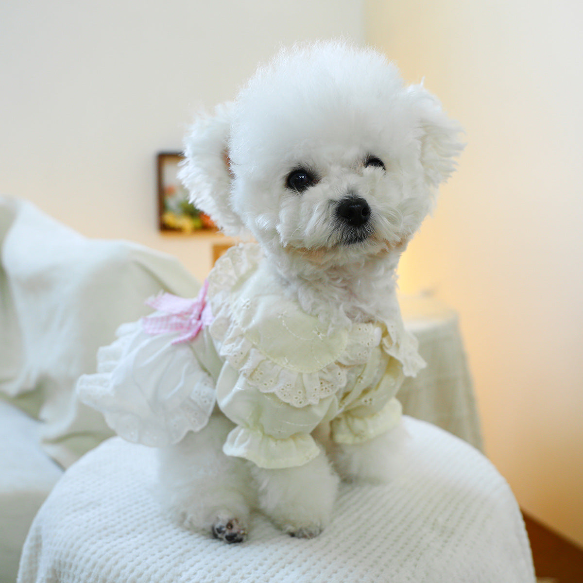 Sweet Bear Lace Bow Dog Dress Harness
