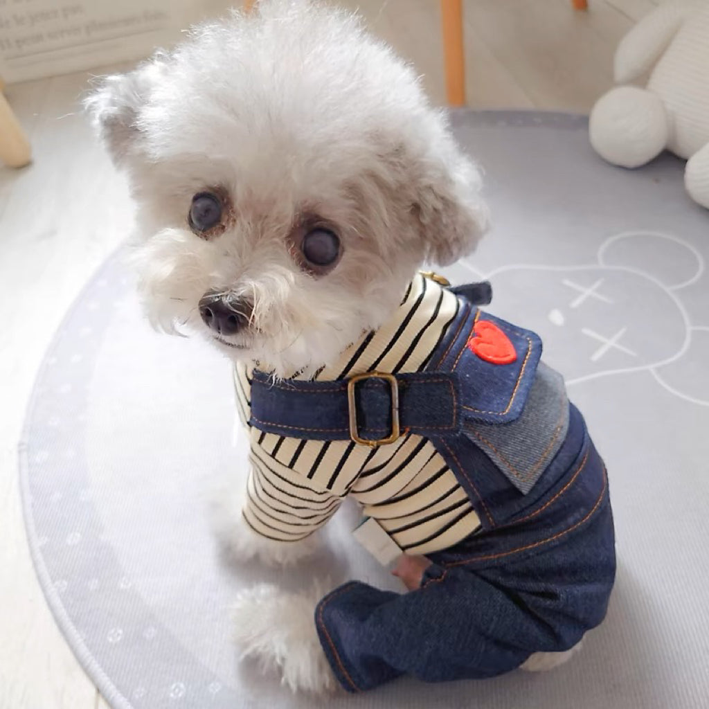 Striped Heart Pattern Denim Dog Jumpsuits
