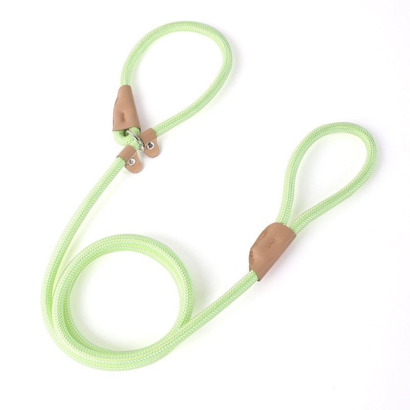Minimalist Nylon Solid Color Leash