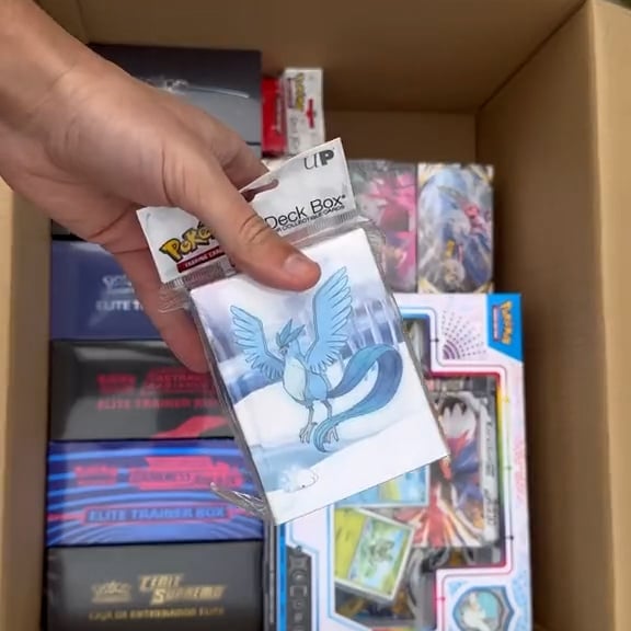 The Pokemon Mystery Boxes