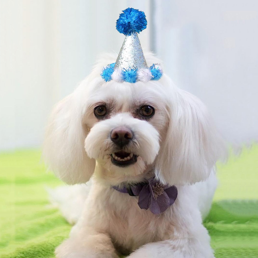 Birthday Pom Pom Cone for Dogs