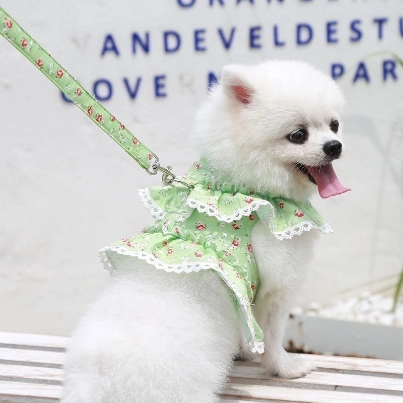 Cute Polyester Ditsy Floral Leash