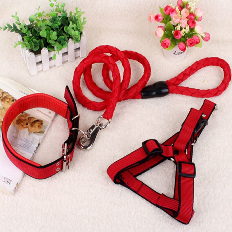 Dog Leash Harness Collar