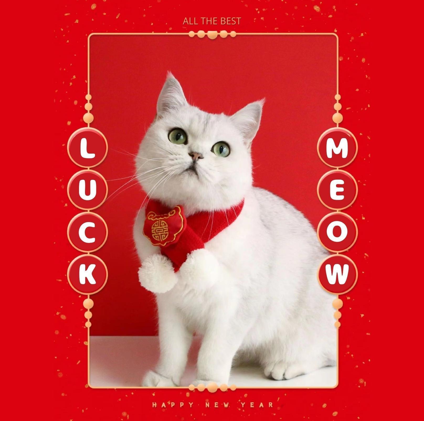 Red Knitted Wool Cartoon Scarfs For Cats and Dogs