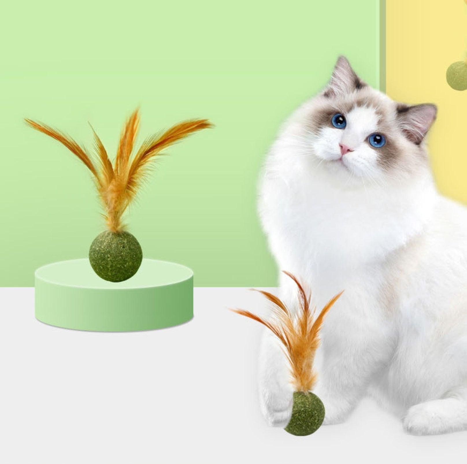 Catnip Cat Toy with Feathers