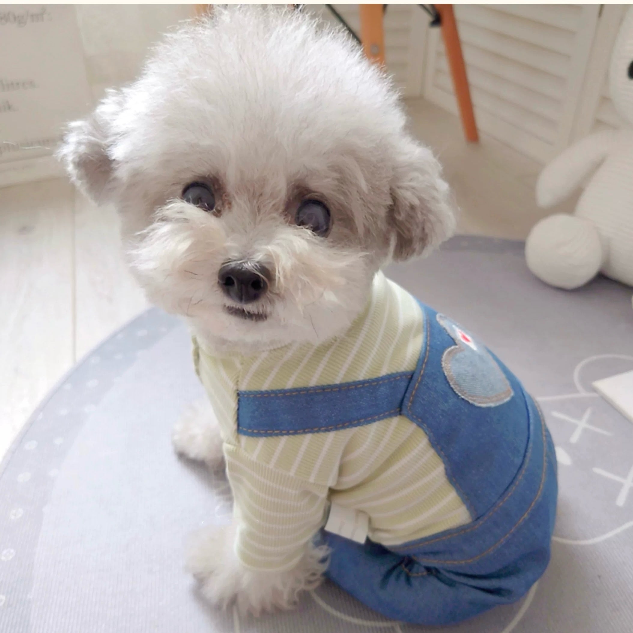 Striped Heart Pattern Denim Dog Jumpsuits